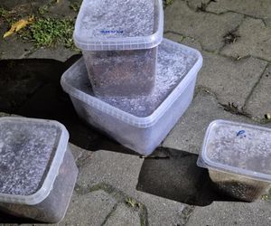 Otworzył kosz na śmieci i zamarł! Odkrycie jak z horroru w Krakowie