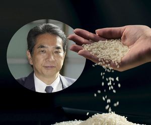Kryzys ryżowy w Japonii. Minister rolnictwa rezygnuje po skandalicznej wypowiedzi