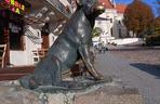 Pierwszy w Polsce posąg psa kundelka znajduje się w Kazimierzu Dolnym
