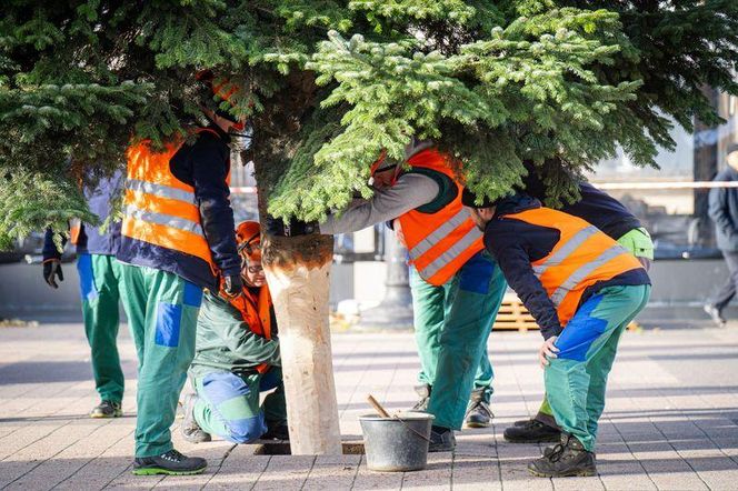 Rybnik szykuje się do świąt Bożego Narodzenia