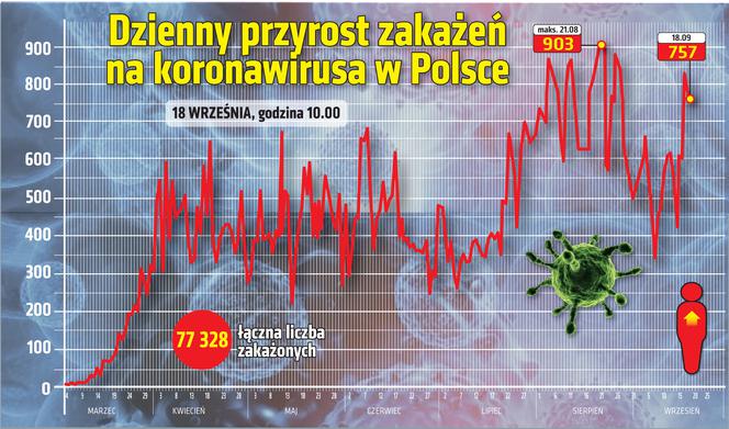 Koronawirus w Polsce. Statystyki, wykresy, grafiki (18 września)