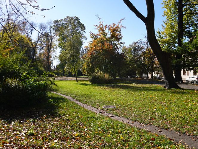 Złota polska jesień w parku na Bronowicach w Lublinie