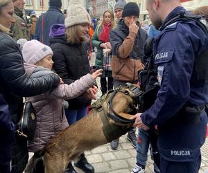 Ile bydgoszczanie zebrali na finale WOŚP? Mamy pierwsze wyniki liczenia w sztabie