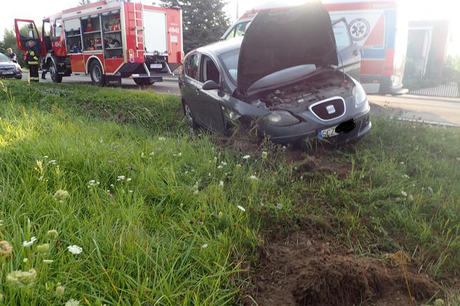 Poranny wypadek w okolicach Mirca. Kierowca miał ponad 3,5 promila, trafił do szpitala [ZDJĘCIA]