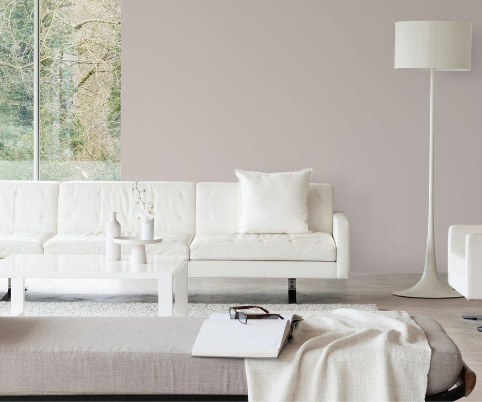 Dulux EasyCare Mleczna Pralina