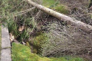 Nowe zapadlisko w Trzebini [12.04.2023] na ul. Jana Pawła II