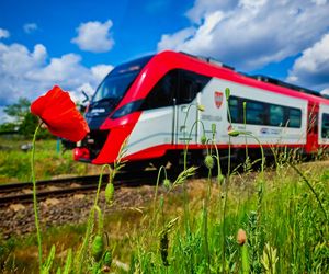 Złap podróż w obiektywie, zgarnij cenne nagrody! Rusza 5. edycja konkursu „Pociąg do Sztuki”