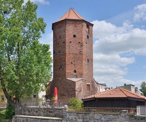 Brodnica