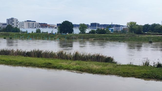 Fala powodziowa we Wrocławiu. Pod wodą są już beach bary i drogi 