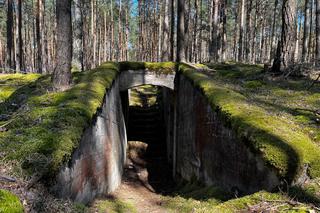 Ruiny byłej fabryki amunicji DAG podczas II wojny światowej w Lubuskiem