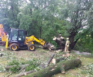 Zalane ulice i posesje. Trudna noc w gminie Goleszów w powiecie cieszyńskim