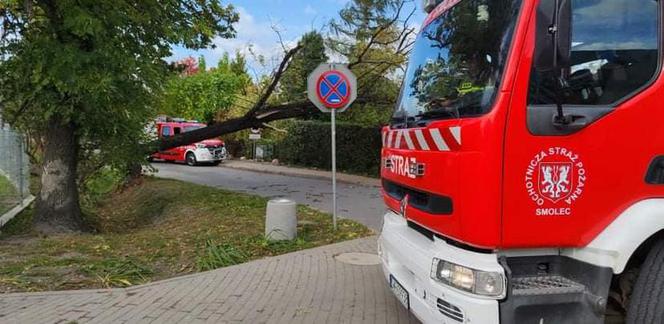 Gwałtowne wichury na Dolnym Śląsku