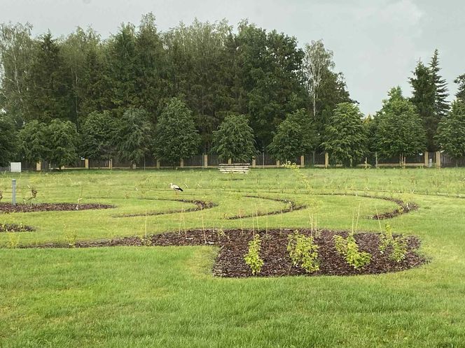 Wyjątkowe miejsce w Wólce Konopnej. Farma toMy dla osób z niepełnosprawnością