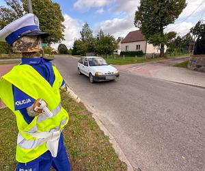 Porządku na drodze pilnuje stróż prawa z drewna