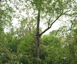 To największy kompleks leśny na Mazurach. Co krok pojawiają się malownicze jeziora