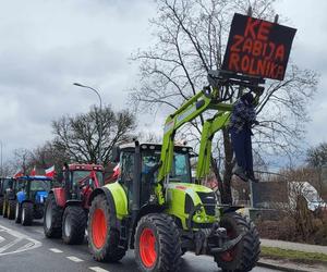 protest rolniczy Siedlce