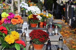 Zniczodzielnie w Polsce 