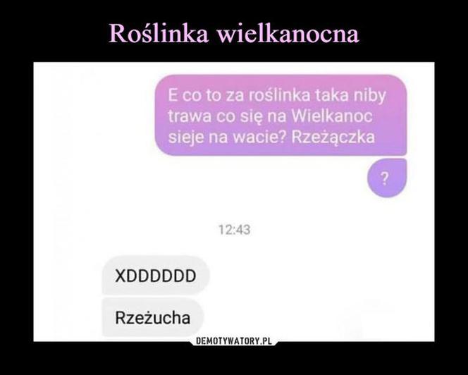 Wielkanoc 2022 - najlepsze memy