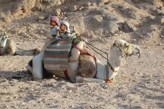 Hurghada. Miasto, które powstało z z brytyjskiej osady poszukiwaczy ropy naftowej