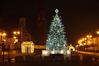 Świąteczna choinka mieni się kolorami. Zobacz bożonarodzeniową atrakcję w Białymstoku