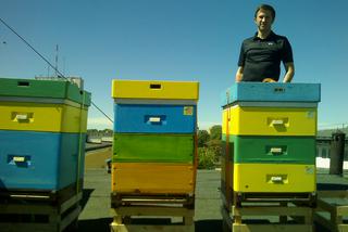 Pszczoły na KUL