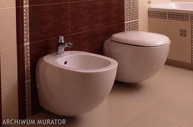 Jak wybrać stelaż instalacyjny do łazienki?