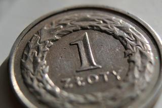Przeciętne wynagrodzenie w Rzeszowie i na Podkarpaciu. O jakiej kwocie mowa?