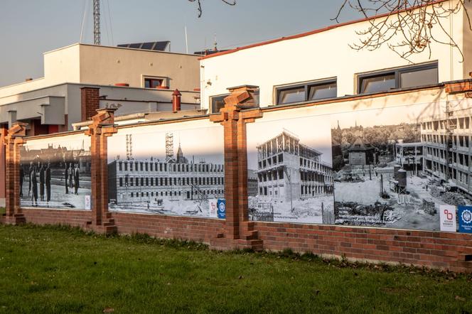 Wyjątkowe murale pojawiły się na terenie kampusu Politechniki Śląskiej [WIDEO]