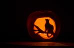 Dynia na Halloween. Jak zrobić krok po kroku? Straszne i śmieszne wzory [GALERIA]