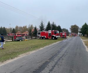 Pali się Ranczo Smyczyna koło Leszna