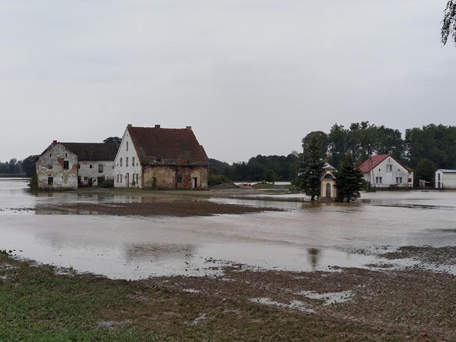 Nim przyszła fala powodziowa, sąsiedzi pomogli pani Gizeli 