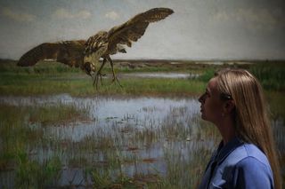 Wystawa „Chełmoński” w Muzeum Narodowym w Krakowie
