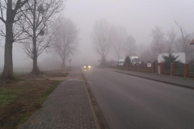 Mgła droga 