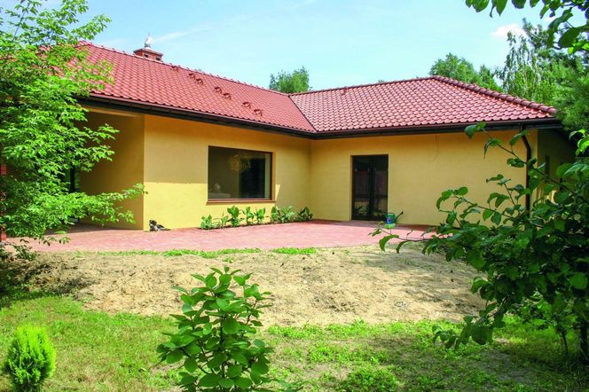Projekt obsadzenia słonecznego tarasu