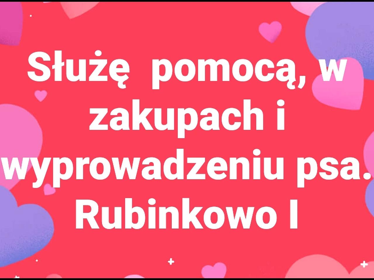 Widzialna Ręka pomaga w Toruniu! Ponad 4000 wolontariuszy, którzy wyprowadzą psa i zrobią zakupy!