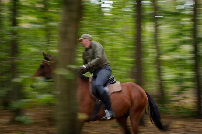 Przyjaciółki, 22 sezon odc. 266. Wiktor (Paweł Deląg)