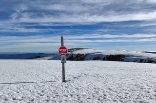 „Fotka cenniejsza niż życie”