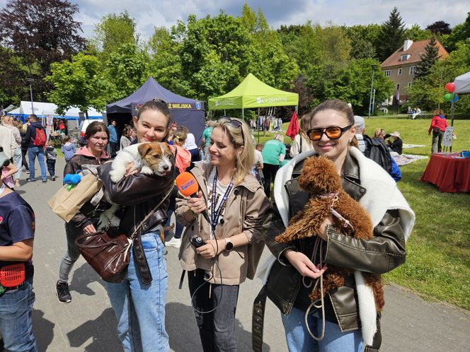 Festiwal Przyjaciół Zwierząt w Olsztynie. Park Centralny opanowały radosne pieski