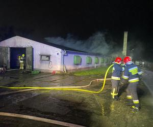 Pożar kurnika w Lubawie. Są straty w inwentarzu