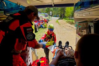 Turysta ukąszony przez żmiję.