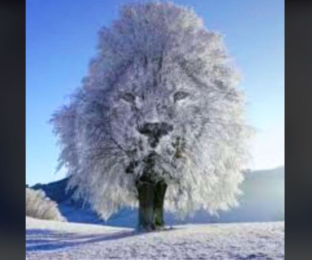 Tylko wyjątkowo inteligentne osoby dostrzegają to na obrazku