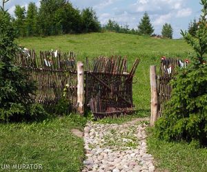 Żywopłot z wikliny, płot z wikliny. Jak zrobić żywopłot z wierzby