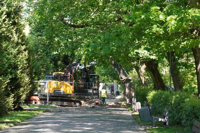 Rewitalizacja Parku Planty. Tak wyglądają majowe prace w centrum Białegostoku