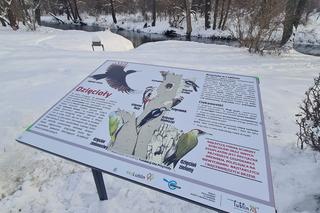 Lublin: Nad Bystrzycą ustawiono tablice, które mają edukować mieszkańców