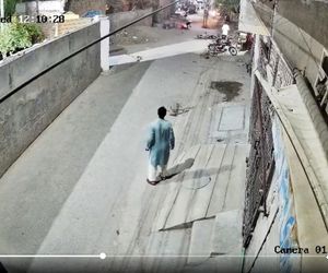 Lew rzucił się na dzieci i kobietę pośrodku ulicy! Oto, co stało się potem