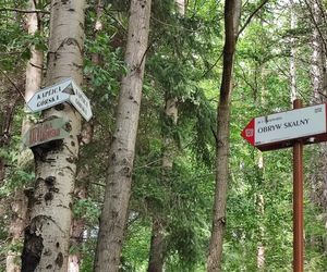 Obryw Skalny w Bardzie. Tutaj widoki zapierają dech w piersiach 
