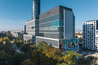 Największy mural we Wrocławiu - zdjęcia. Ma 720 m2 i oczyszcza powietrze