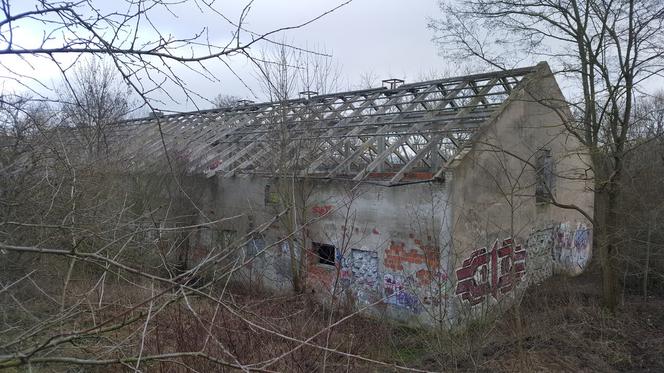 Jakie tajemnice kryją Górki Fordońskie?