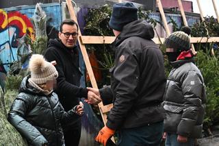Morawiecki kupuje choinkę na święta