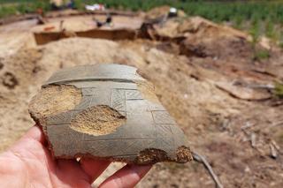 Niezwykłe odkrycie archeologiczne w Osiu pod Świeciem. W lesie jest cmentarzysko starożytnych Gotów